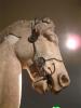 British_cavallo(Condor)