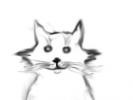 gatto_(Condor)